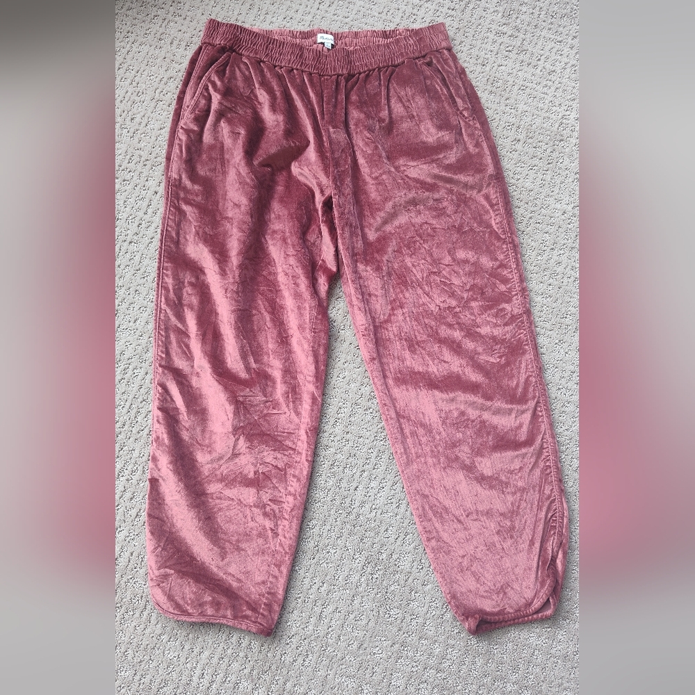 Madewell Burgandy Velour Pants